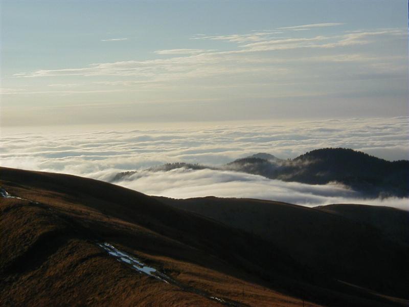 PA160012 (Medium).JPG