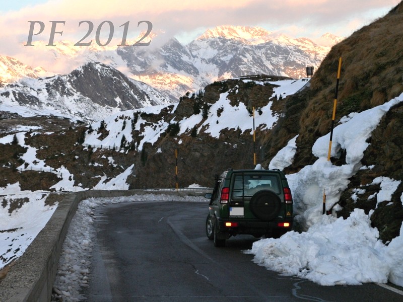 pf2012.jpg