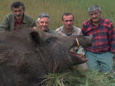 cochon 0.jpg (158.51 KiB) Zobrazeno 6442 x cochon 0.jpg