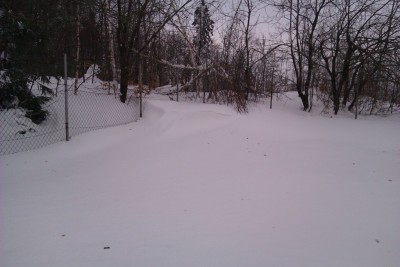 IMAG0046.jpg