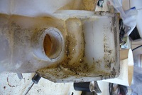Dno exp.3.jpg
