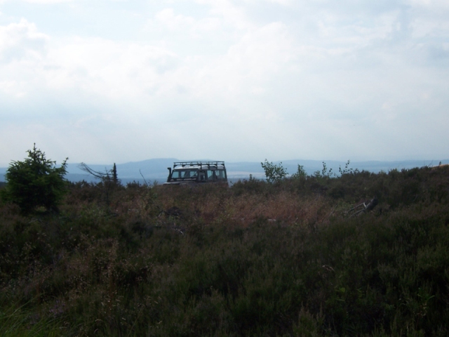 09.jpg