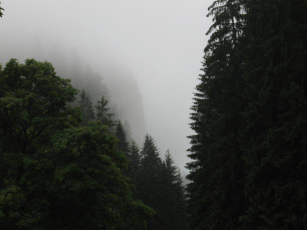narodní park zakopané.jpg