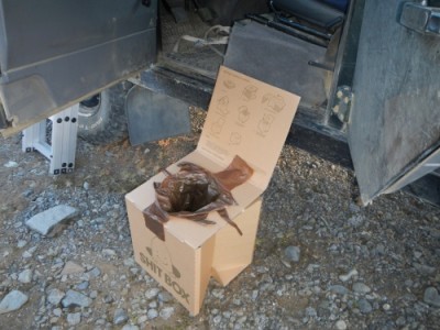 shibox1m.jpg