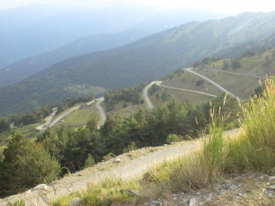 IMG_2900.jpg