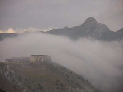 IMG_2975.jpg