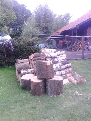 IMG0136A.jpg