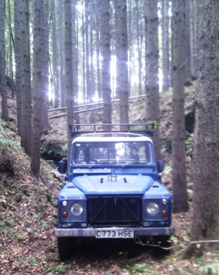 IMAG0049.jpg
