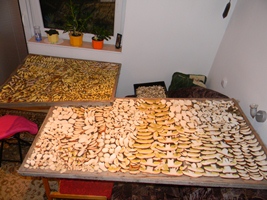 DSCN4182 - kópia.JPG