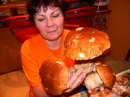 DSCN4173 - kópia.JPG
