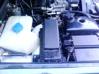 IMG0873A.jpg