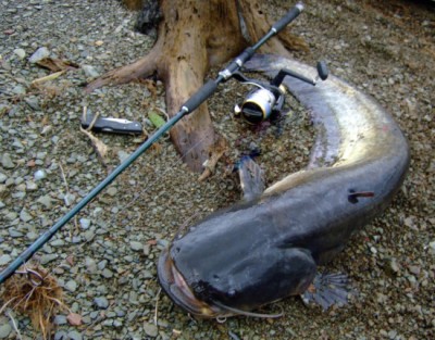 DSCF3311 – kopie.JPG