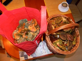 DSCN4212 - kópia.JPG