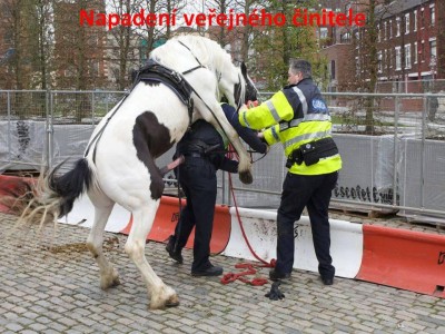 pp.jpg