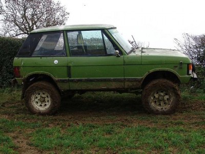GreenBobtail123.JPG