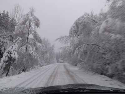 DSCF2818.JPG