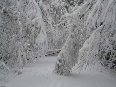 DSCF2824.JPG