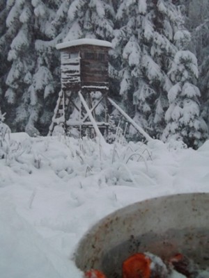 DSCF2825.JPG