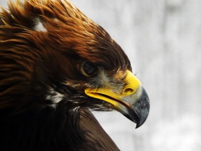 DSCF2884.JPG (214.44 KiB) Zobrazeno 5878 x DSCF2884.JPG