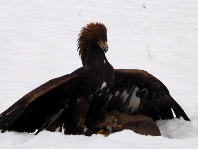 DSCF2881.JPG (182.84 KiB) Zobrazeno 5878 x DSCF2881.JPG