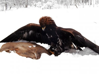 DSCF2887.JPG (153.59 KiB) Zobrazeno 5878 x DSCF2887.JPG