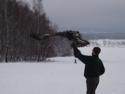 DSCF2866.JPG (196.41 KiB) Zobrazeno 5878 x DSCF2866.JPG