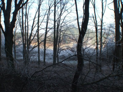 DSCF8396.JPG