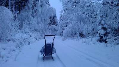 IMAG0882.jpg
