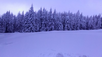IMAG0175.jpg