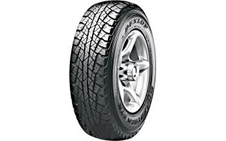 dunlop.jpg