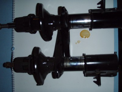 PB100247.JPG