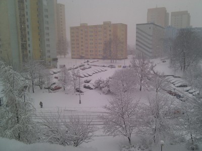 IMG_20130331_125106.jpg