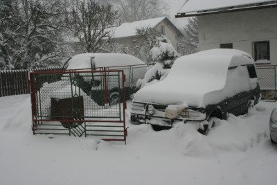 IMG_9228.JPG