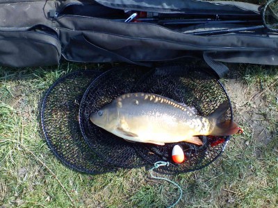48 cm.jpg