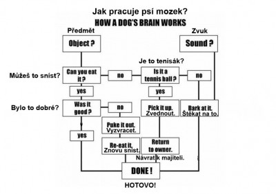 psi-mozkova-mapacz.jpg