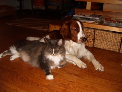 Fido&Damián.JPG