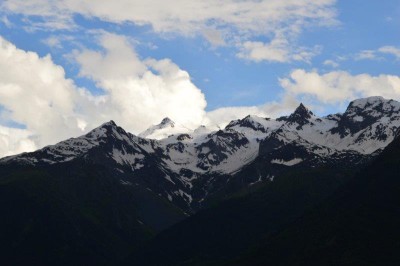 DSC_0204.jpg
