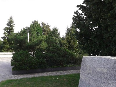 CT.jpg (104.79 KiB) Zobrazeno 2158 x CT.jpg