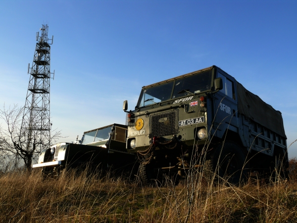 pic_zdice08.jpg
