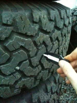 kola velká bazoš2.jpg