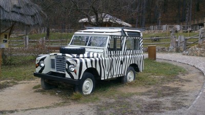 DSC_0577.jpg