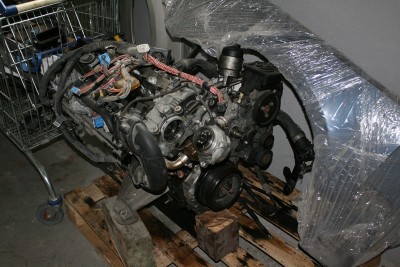 IMG_2028 [800x600].JPG