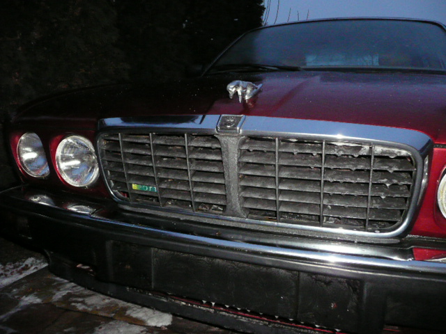 Jaguar sport 012.JPG