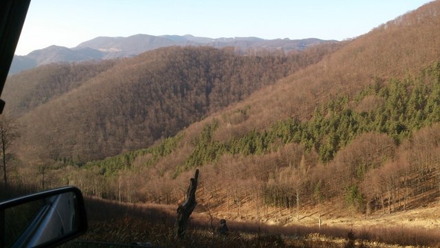 DSC_1108 - kópia.JPG