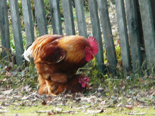 ...nezbývalo než závidět..:-))