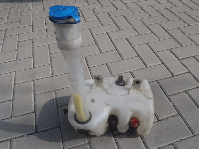 Nadobka ostrekovacov, predok, zadol, svetla.