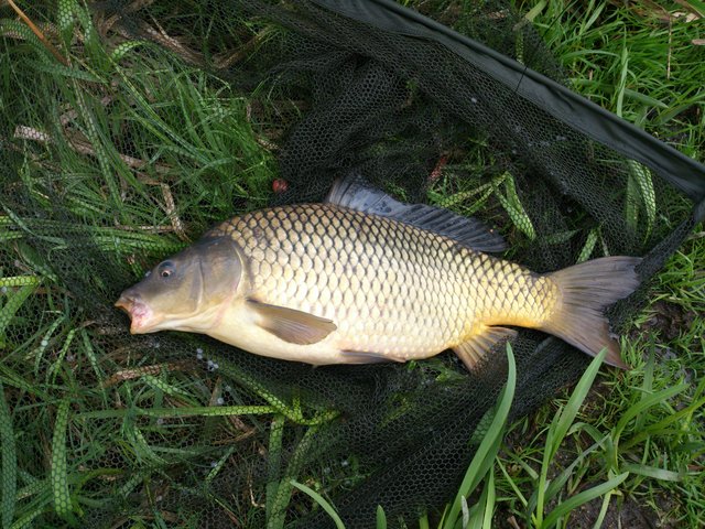 DSC_0561.jpg