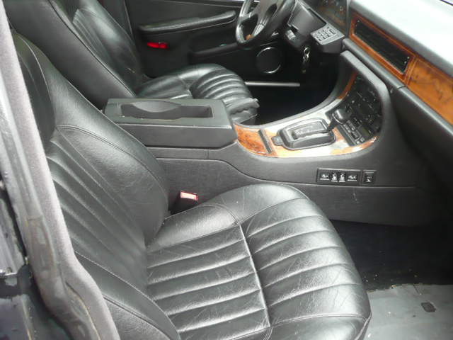 Jaguary 010.JPG