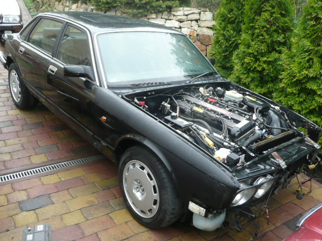 Jaguary 012.JPG