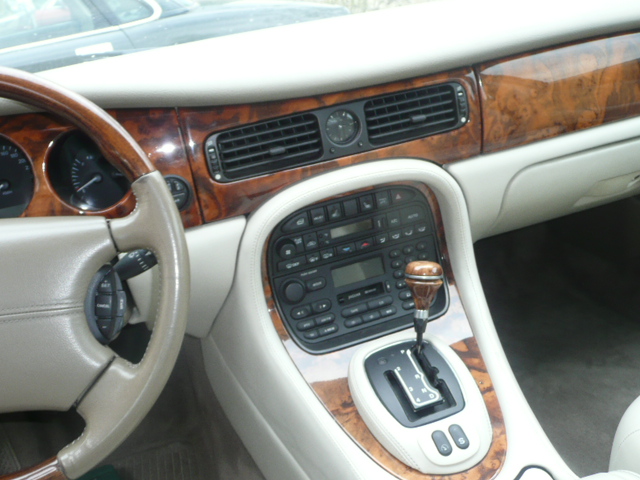 Jaguary 020.JPG